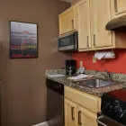 Business 11 image TOWNEPLACE SUITES BY MARRIOTT TAMPA NORTH/I-75 FLETCHER in Tampa FL