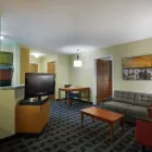 Business 19 image TOWNEPLACE SUITES BY MARRIOTT TAMPA NORTH/I-75 FLETCHER in Tampa FL