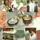 Business 5 image TREASURED MEMORIES PHOTOGRAPHY Wedding Photography & Videography in Orlando FL