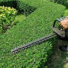 Business 2 image TREE SERVICE CUTTING & REMOVAL Tree Service in New York NY