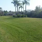 Business 1 image TROPICAL LAWN CARE INC Tree Trimming Service in Tampa FL