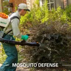 Business 3 image TRUGREEN LAWN CARE Tree Service in Wheat Ridge CO