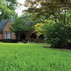 Business 3 image TRUGREEN Weed Control Service in Orchard Park NY