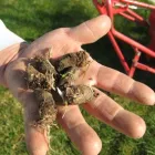 Business 3 image TURFPRO Weed Control Service in Sacramento CA