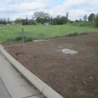 Business 4 image TURFPRO Weed Control Service in Sacramento CA