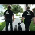 Business 6 image ULTIMATE EDGE INVESTIGATIONS Private Investigators & Detectives in Sacramento CA