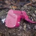 Business 7 image URMOSI Snowmobiles & ATVs in Orlando FL