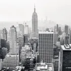 Business 3 image US TRUST BUSINESS LOANS AND ALTERNATIVE CAPITAL FUNDING Financial Services in Miami FL