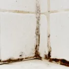 Business 9 image USA CONSTRUCTION & MOLD REMEDIATION SERVICE, LLC Water Damage Restoration in Tampa FL