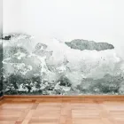 Business 22 image USA CONSTRUCTION & MOLD REMEDIATION SERVICE, LLC Water Damage Restoration in Tampa FL