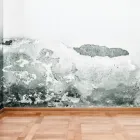 Business 25 image USA CONSTRUCTION & MOLD REMEDIATION SERVICE, LLC Water Damage Restoration in Tampa FL