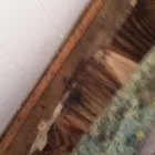 Business 36 image USA CONSTRUCTION & MOLD REMEDIATION SERVICE, LLC Water Damage Restoration in Tampa FL