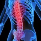 Business 2 image USA HEALTH & PHYSICAL THERAPY Sports Medicine in Oakland Park FL