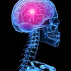 Business 4 image USA HEALTH & PHYSICAL THERAPY Sports Medicine in Oakland Park FL