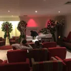 Business 2 image VALLES FUNERAL HOMES & CREMATORY Funeral Supplies & Services in Opa Locka FL