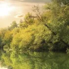 Business 5 image VALLES FUNERAL HOMES & CREMATORY Funeral Supplies & Services in Opa Locka FL