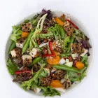 Business 2 image VEGGIE GRILL Vegan & Vegetarian Restaurants in San Diego CA