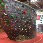 Business 1 image VERTICAL VENTURES in Tampa FL