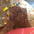 Business 2 image VERTICAL VENTURES in Tampa FL