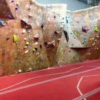 Business 3 image VERTICAL VENTURES in Tampa FL