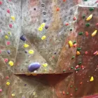 Business 4 image VERTICAL VENTURES in Tampa FL