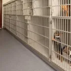 Business 7 image VETERINARY HEALTHCARE ASSC in Winter Haven FL