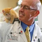 Business 4 image VETERINARY HEALTHCARE ASSOCIATES in Winter Haven FL