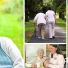 Business 2 image VISITING ANGELS Elder Care Home Health Services in Tampa FL