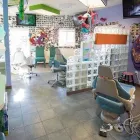 Business 3 image VOYTEK BOBAK D.M.D., M.S. in Lakewood CO