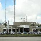 Business 51 image WARREN HENRY INFINITI Tire Shop in North Miami FL