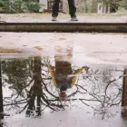 Business 1 image WATER DAMAGE RESTORATION AND REPAIR EAST HAMPTON in East Hampton NY