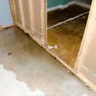 Business 6 image WATER DAMAGE RESTORATION AND REPAIR EAST HAMPTON in East Hampton NY