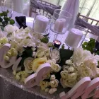 Business 21 image WAVES EVENT CENTERS Wedding Services in Lake Mary FL