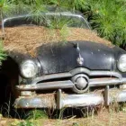 Business 4 image WE BUY JUNK CARS CORAL GABLES Junk Dealers in Coral Gables FL