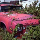 Business 6 image WE BUY JUNK CARS CORAL GABLES Junk Dealers in Coral Gables FL