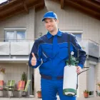 Business 2 image WEASEL WILDLIFE CONTROL EXPERTS in Buffalo NY