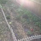 Business 2 image WEBB ROAD KINDERCARE Preschools in Tampa FL