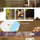 Business 6 image WEBDESIGN309.COM TAMPA Web Design & Development in Tampa FL