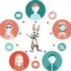 Business 2 image WHITE RABBIT MARKETING Web Design & Development in Fort Lauderdale FL