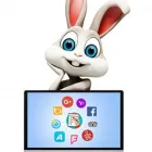 Business 6 image WHITE RABBIT MARKETING Web Design & Development in Fort Lauderdale FL