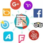 Business 7 image WHITE RABBIT MARKETING Web Design & Development in Fort Lauderdale FL