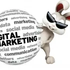 Business 11 image WHITE RABBIT MARKETING Web Design & Development in Fort Lauderdale FL