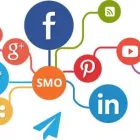 Business 14 image WHITE RABBIT MARKETING Web Design & Development in Fort Lauderdale FL
