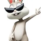 Business 15 image WHITE RABBIT MARKETING Web Design & Development in Fort Lauderdale FL