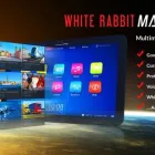 Business 18 image WHITE RABBIT MARKETING Web Design & Development in Fort Lauderdale FL