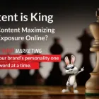 Business 21 image WHITE RABBIT MARKETING Web Design & Development in Fort Lauderdale FL