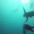 Business 1 image WOODS & WATER OUTDOOR SPORTS CENTER Sports Clubs in Brandon FL