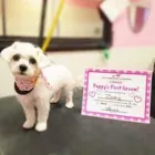 Business 13 image WOOF GANG BAKERY & GROOMING CONWAY Pet Supply Store in Orlando FL