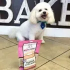 Business 15 image WOOF GANG BAKERY & GROOMING CONWAY Pet Supply Store in Orlando FL