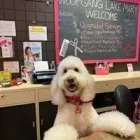 Business 1 image WOOF GANG BAKERY & GROOMING LAKE MARY in Lake Mary FL